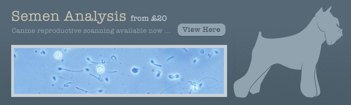 Canine AI in Lancashire UK